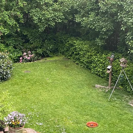 Lejlighed Eichhoernchenblick